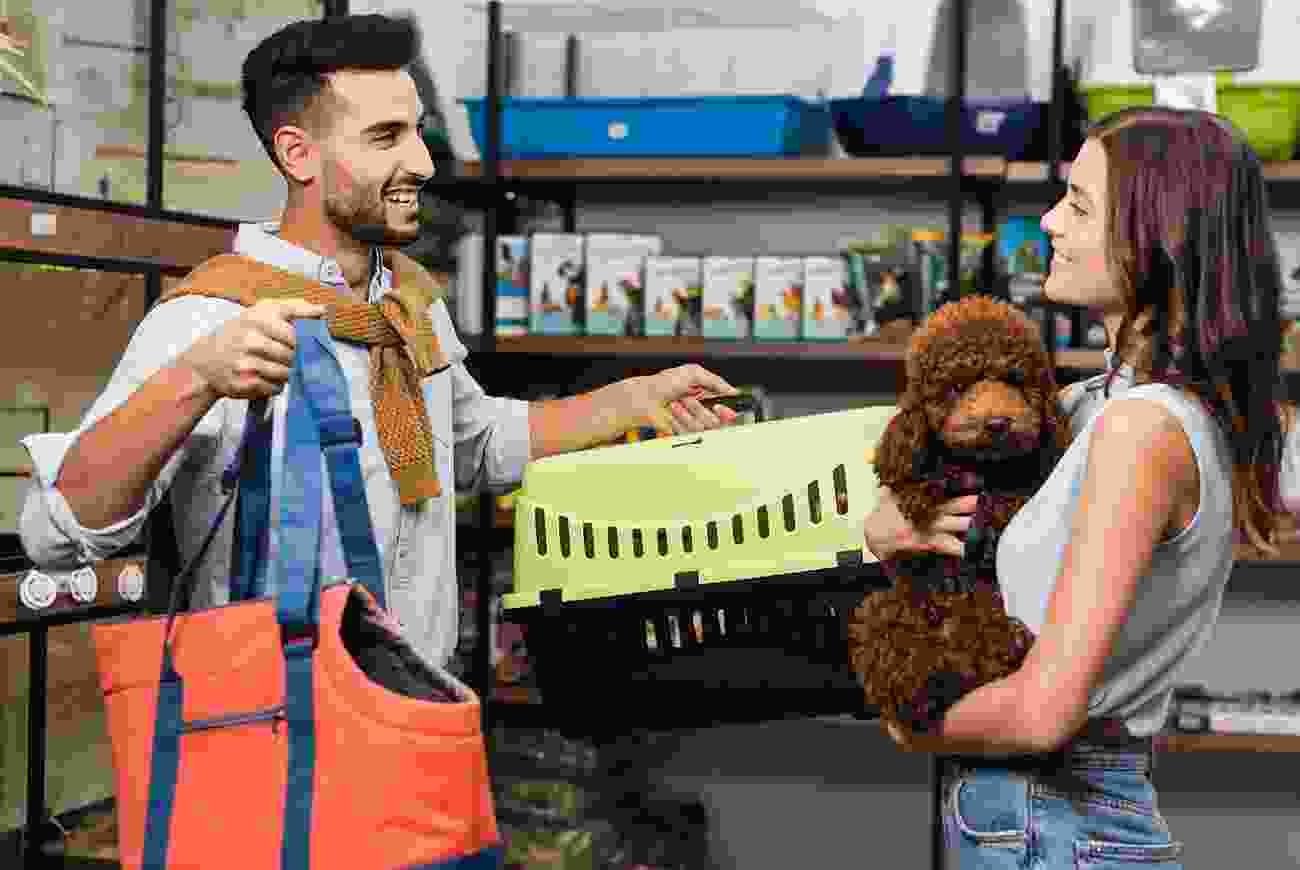 How to choose the right kennels for Dogs?